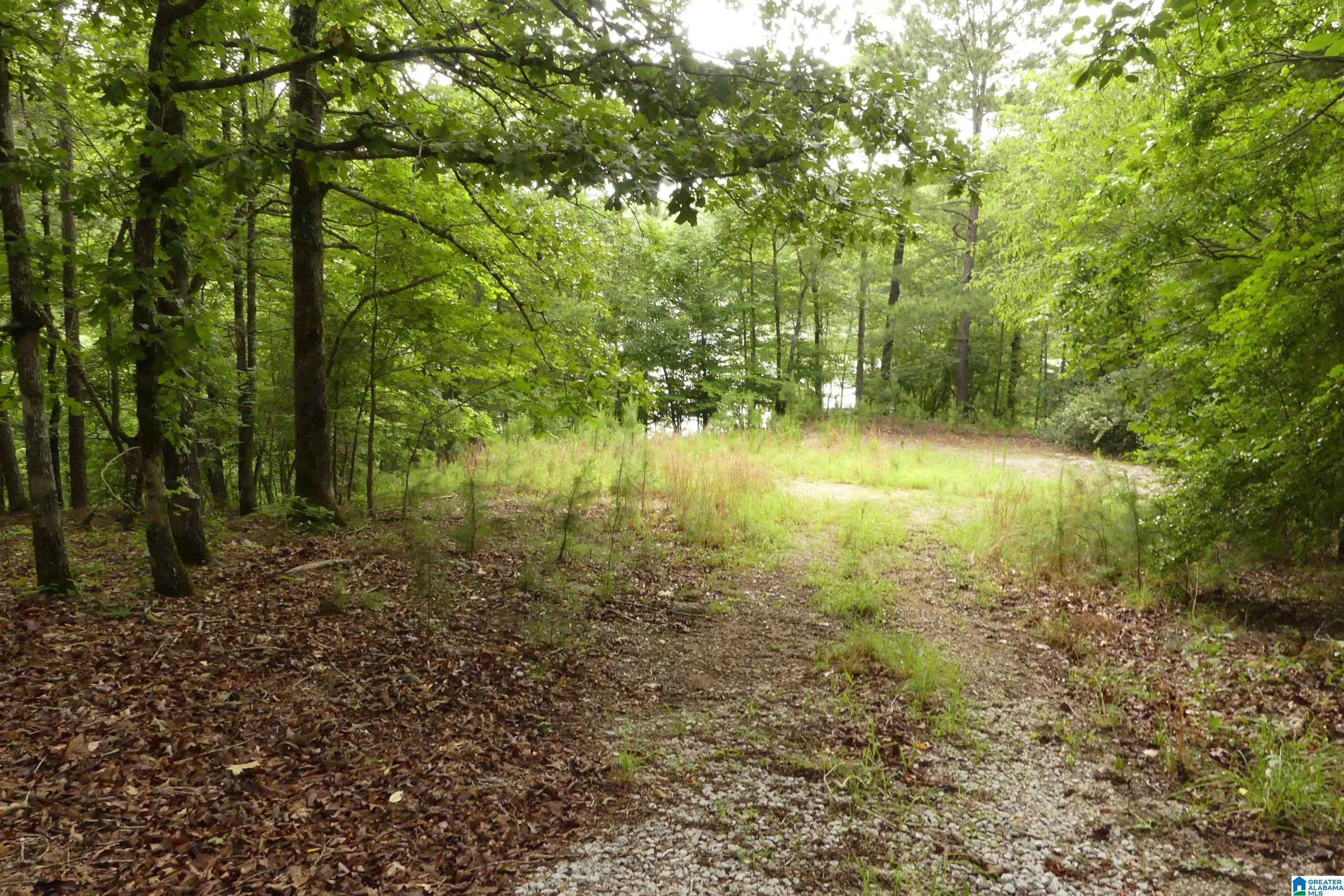 199 River Birch Road, Unit 108 Wedowee, AL 36278 - Photo 20 of 21