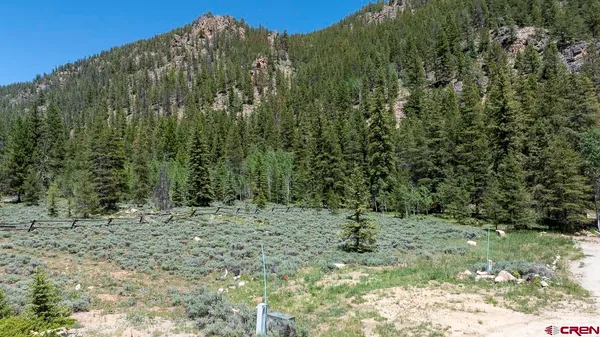 a view of a forest with a tree