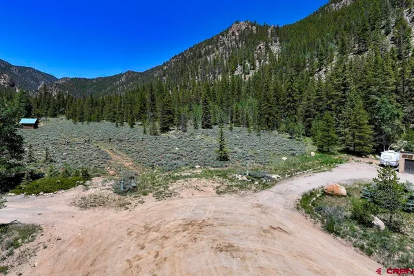 a view of a field with a tree in the background