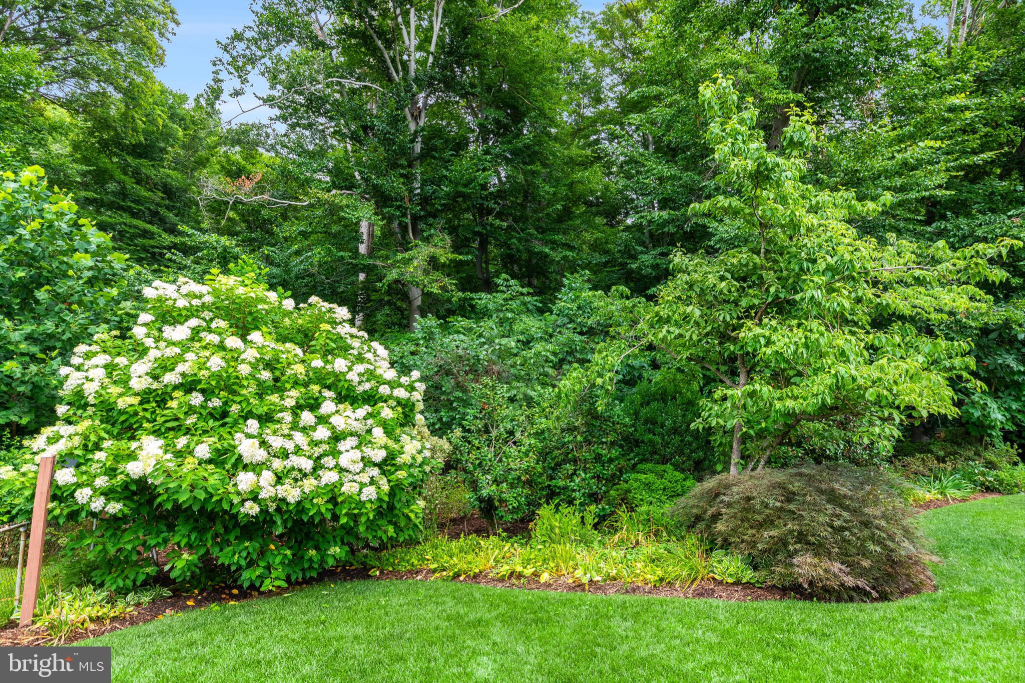 7504 Nancemond Street Springfield, VA 22150 - Photo 43 of 51 Lush landscaped backyard