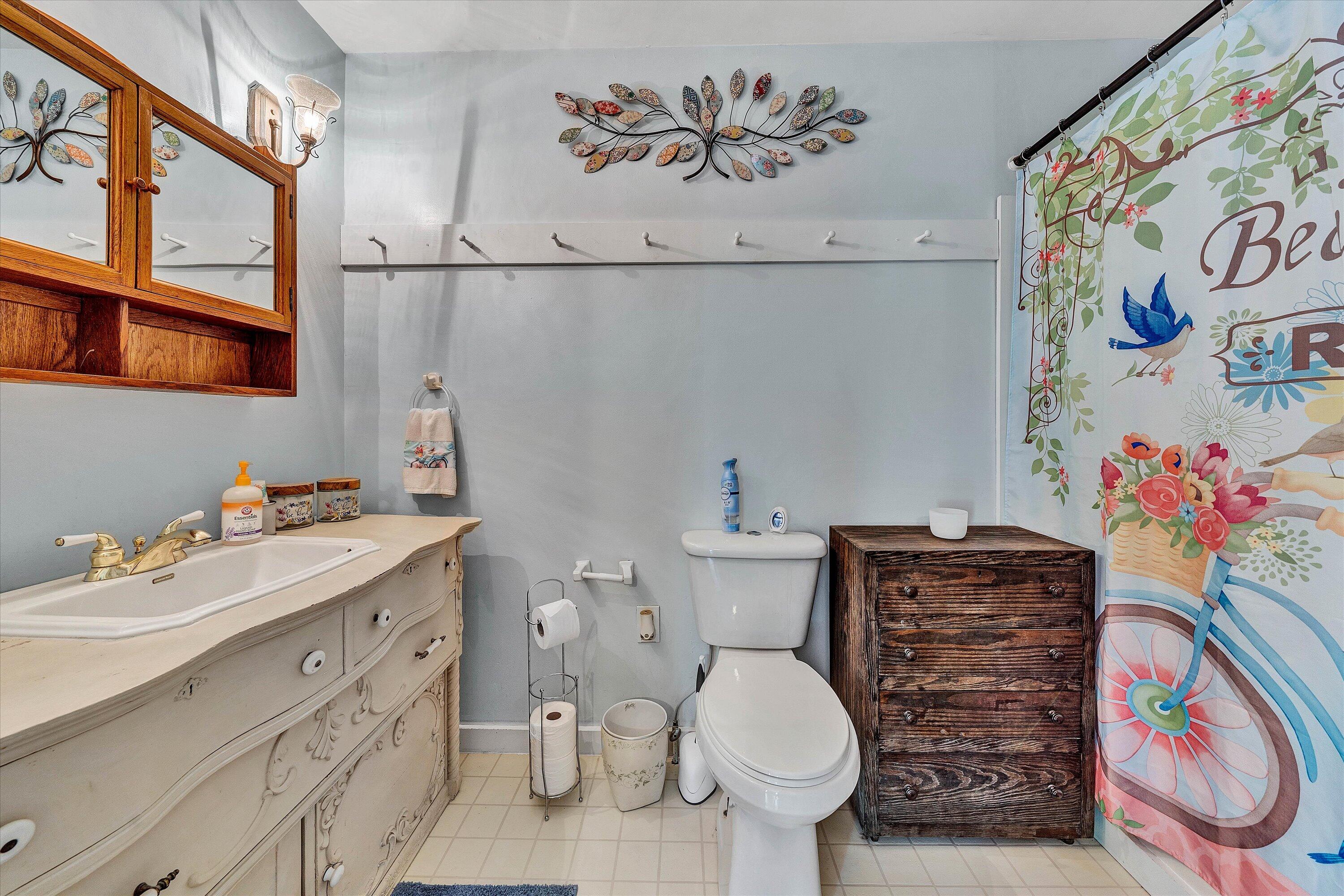 2270 Pico Road Buchanan, VA 24066 - Photo 11 of 47 a bathroom with a sink mirror vanity and toilet