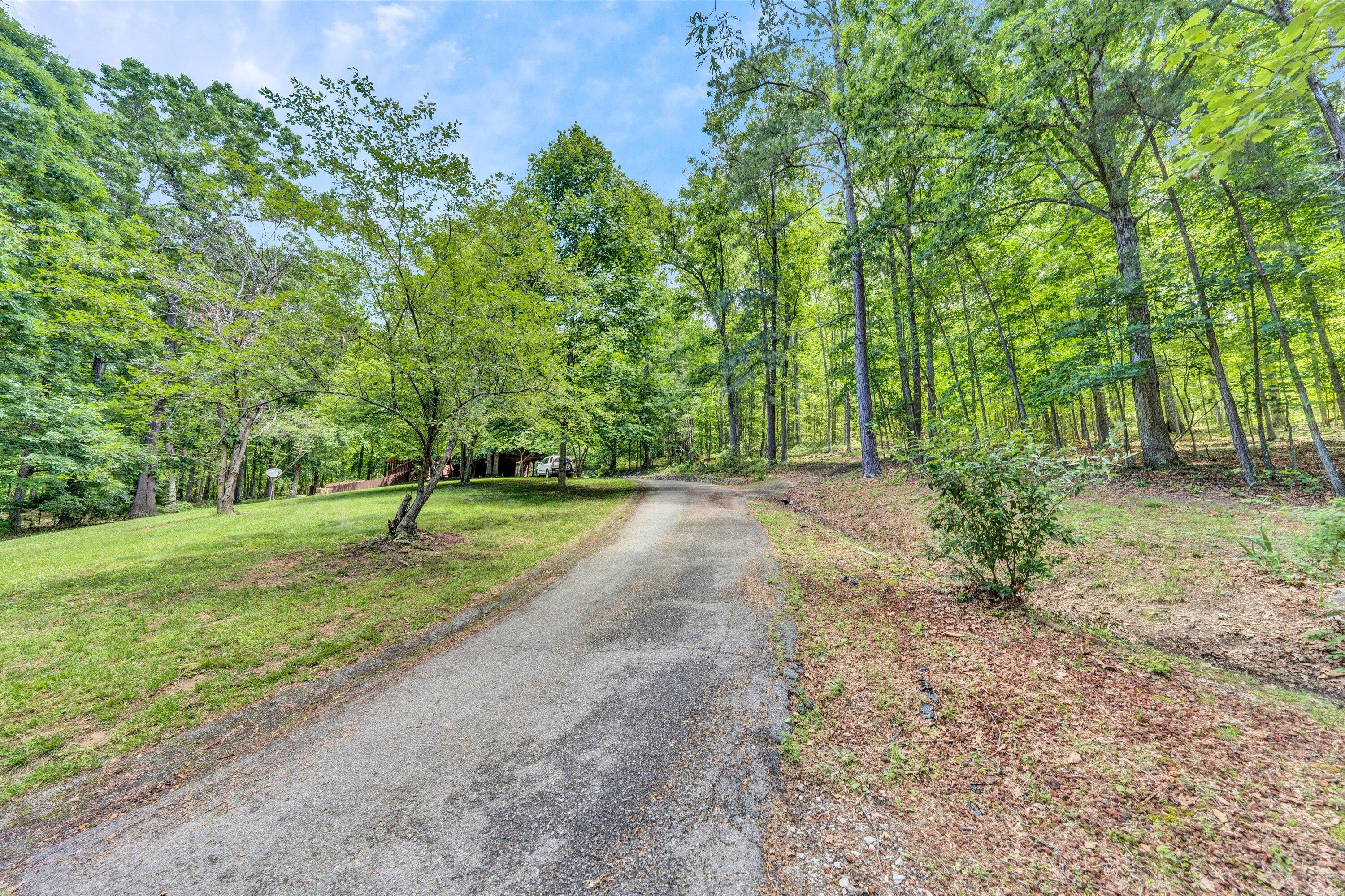 2270 Pico Road Buchanan, VA 24066 - Photo 30 of 47 a view of a yard with plants and trees