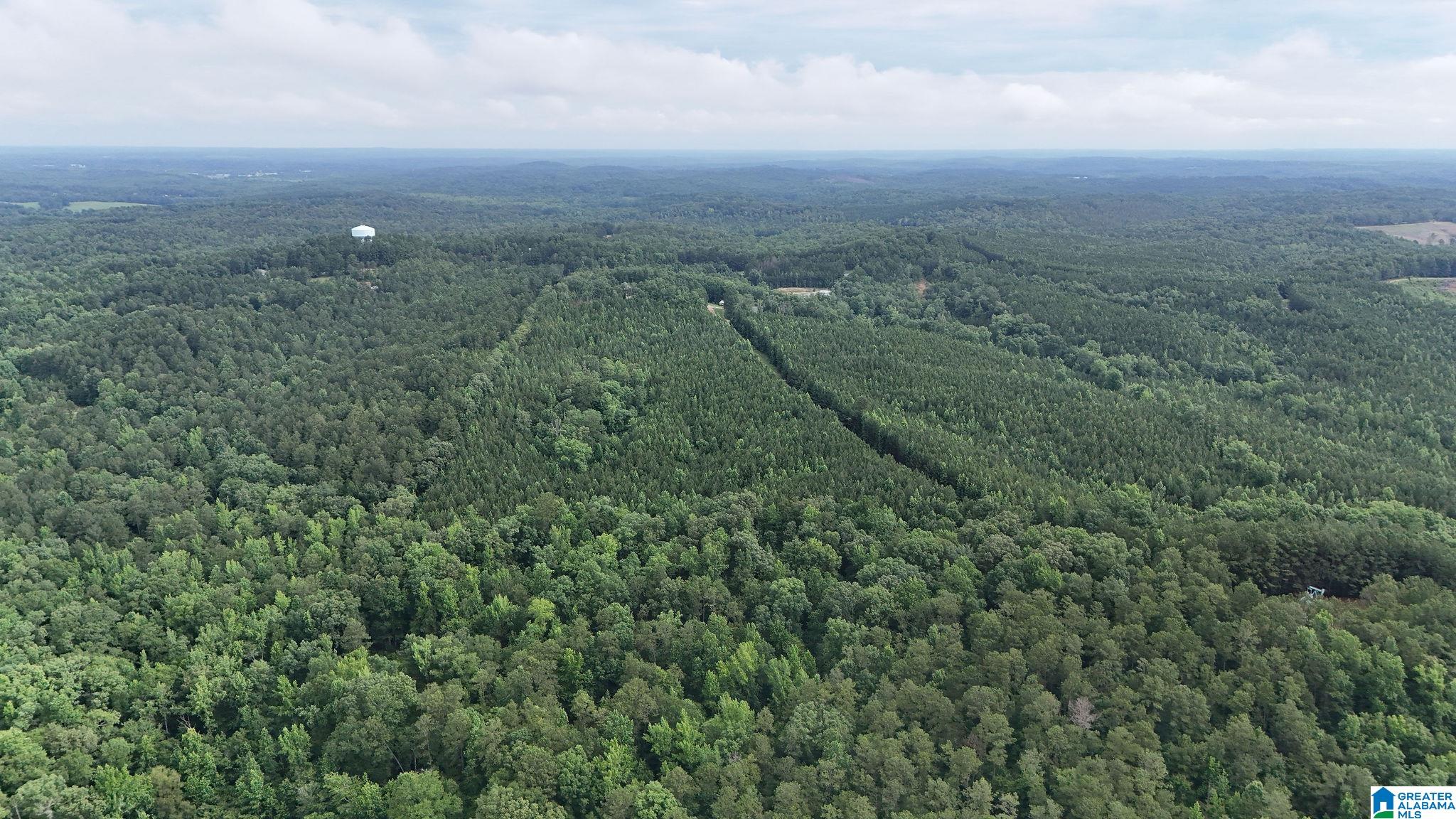 0 Skyview Lake Road Cottondale, AL 35453 - Photo 12 of 22