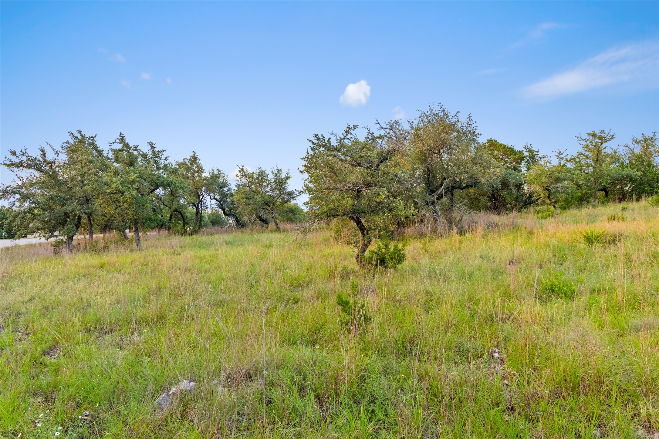 31890 Mirela Ann Road Dripping Springs, TX 78620 - Photo 9 of 13