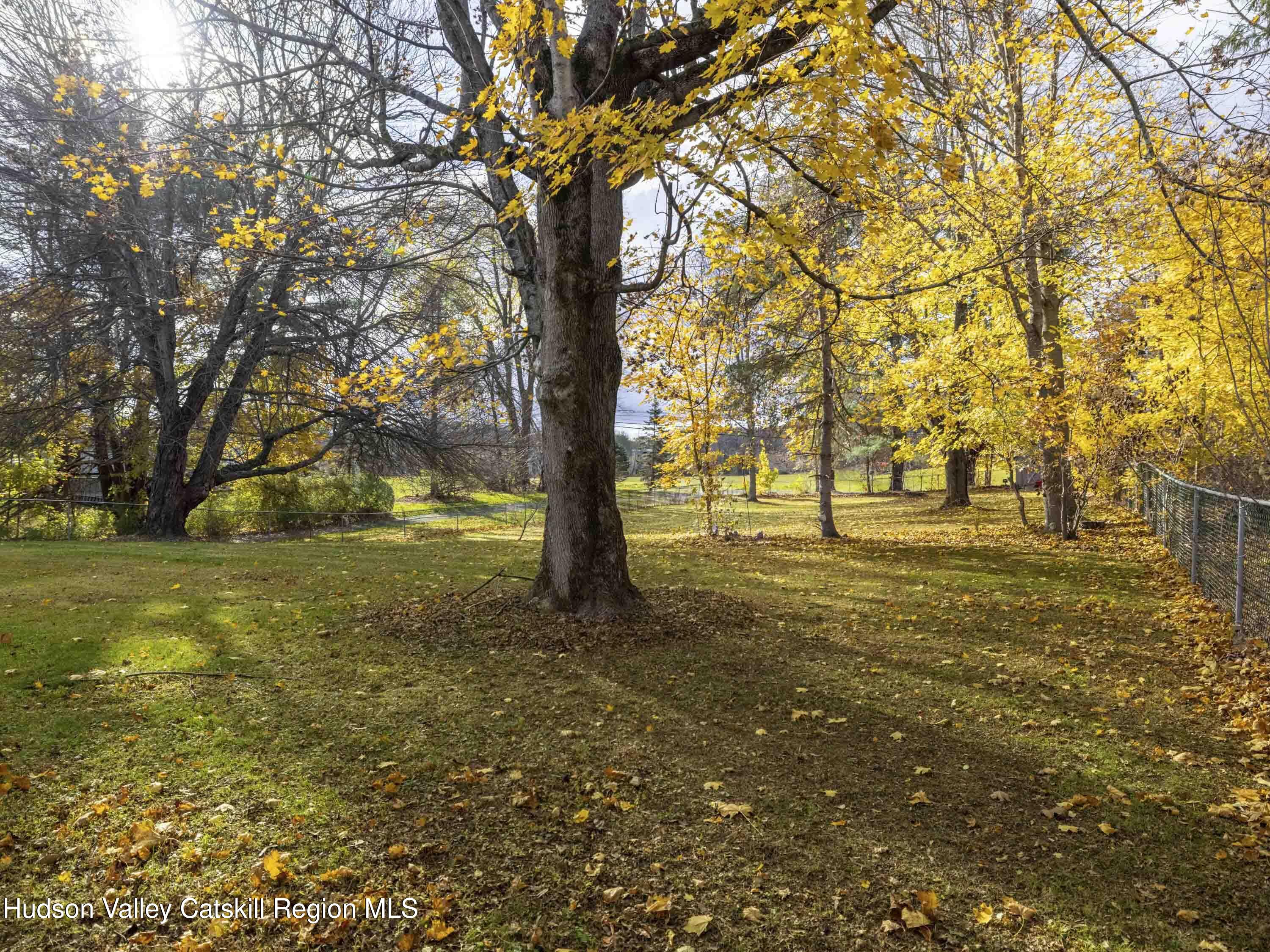 252 Highway 199 Red Hook, NY 12571 - Photo 33 of 45 a view of yard with trees