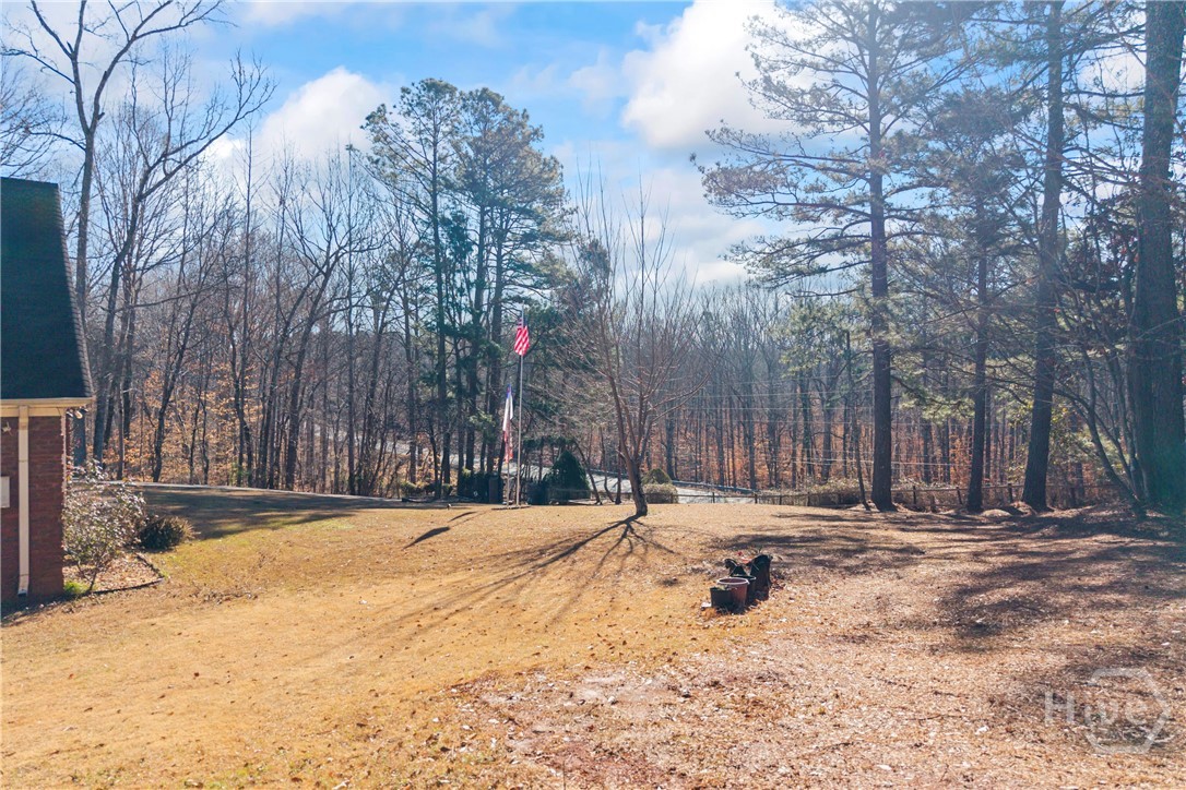 2498 Highway 212 Covington, GA 30016 - Photo 64 of 74