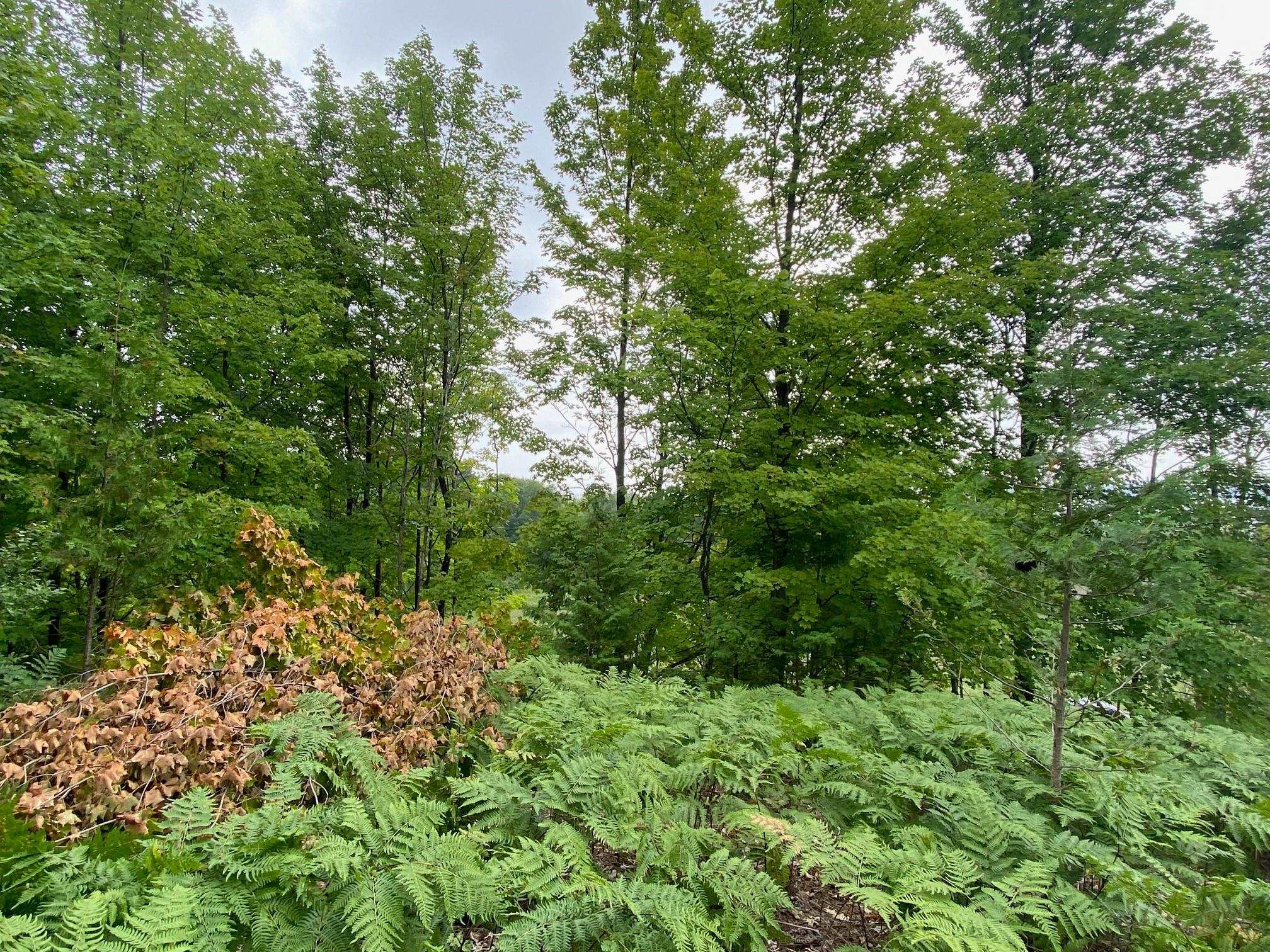 750 North Dumas Road Suttons Bay, MI 49682 - Photo 58 of 63