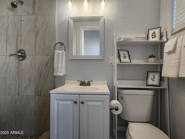 a bathroom with a sink toilet and mirror