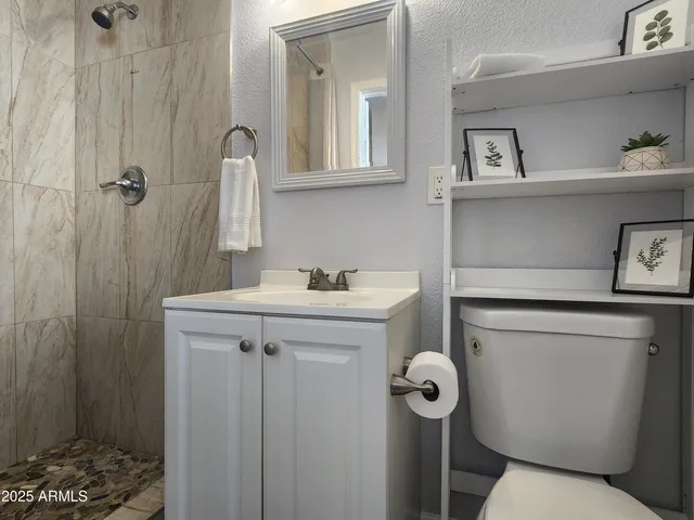 a bathroom with a sink a toilet and shower