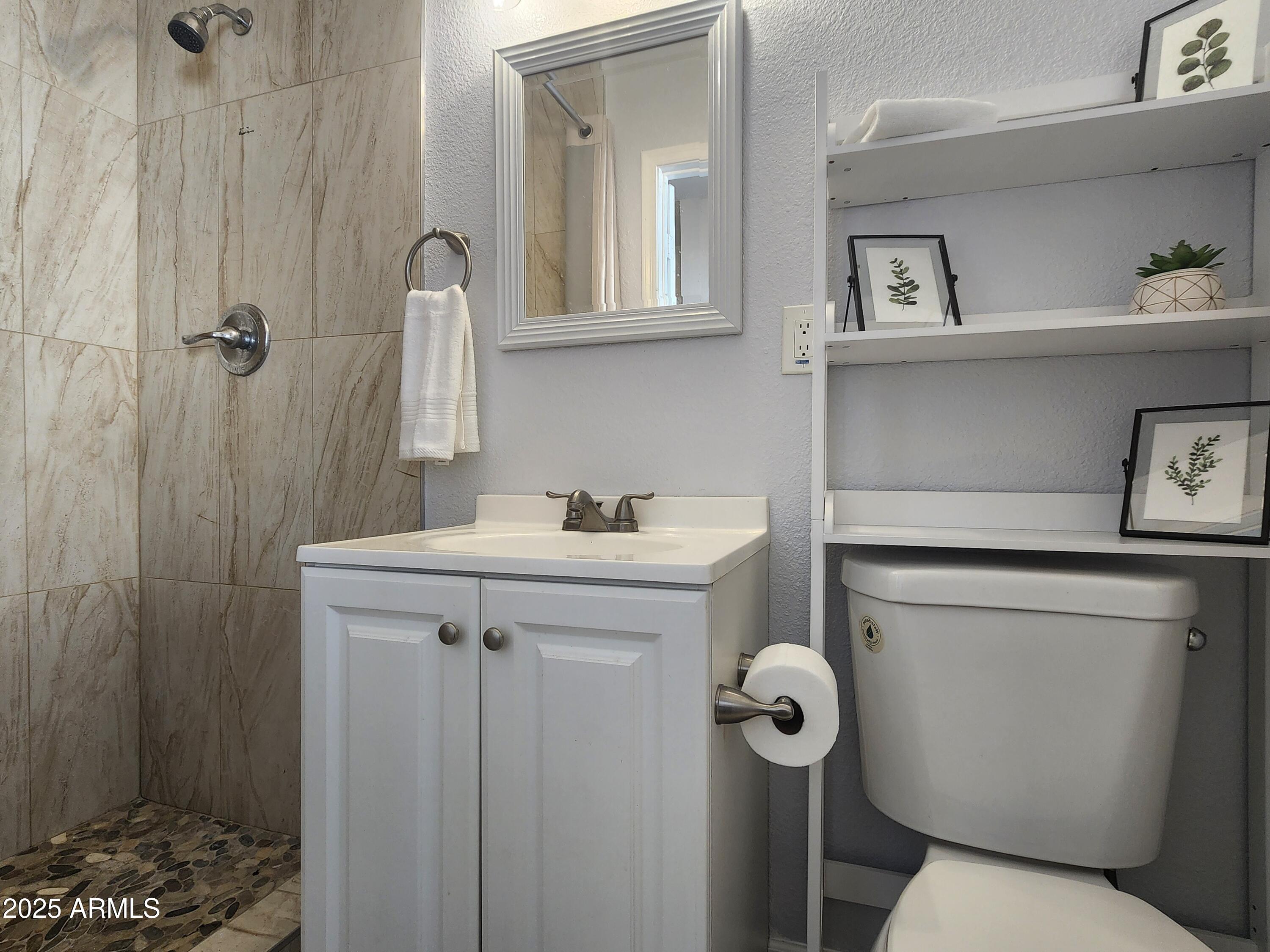299 South Oregon Street, Unit 4 Chandler, AZ 85225 - Photo 7 of 39 a bathroom with a sink a toilet and shower