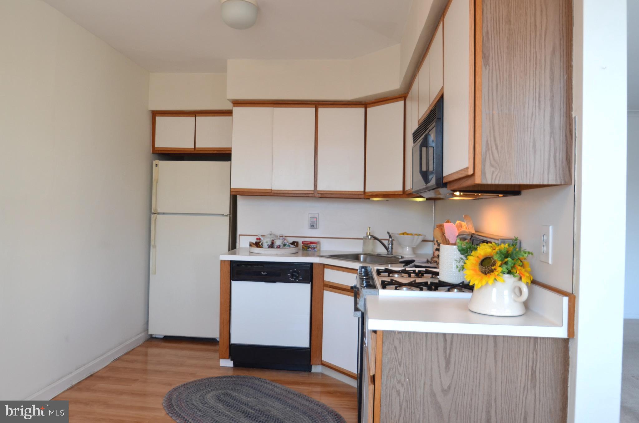 383 Lakeside Road, Unit 301 Ardmore, PA 19003 - Photo 7 of 20 Kitchen