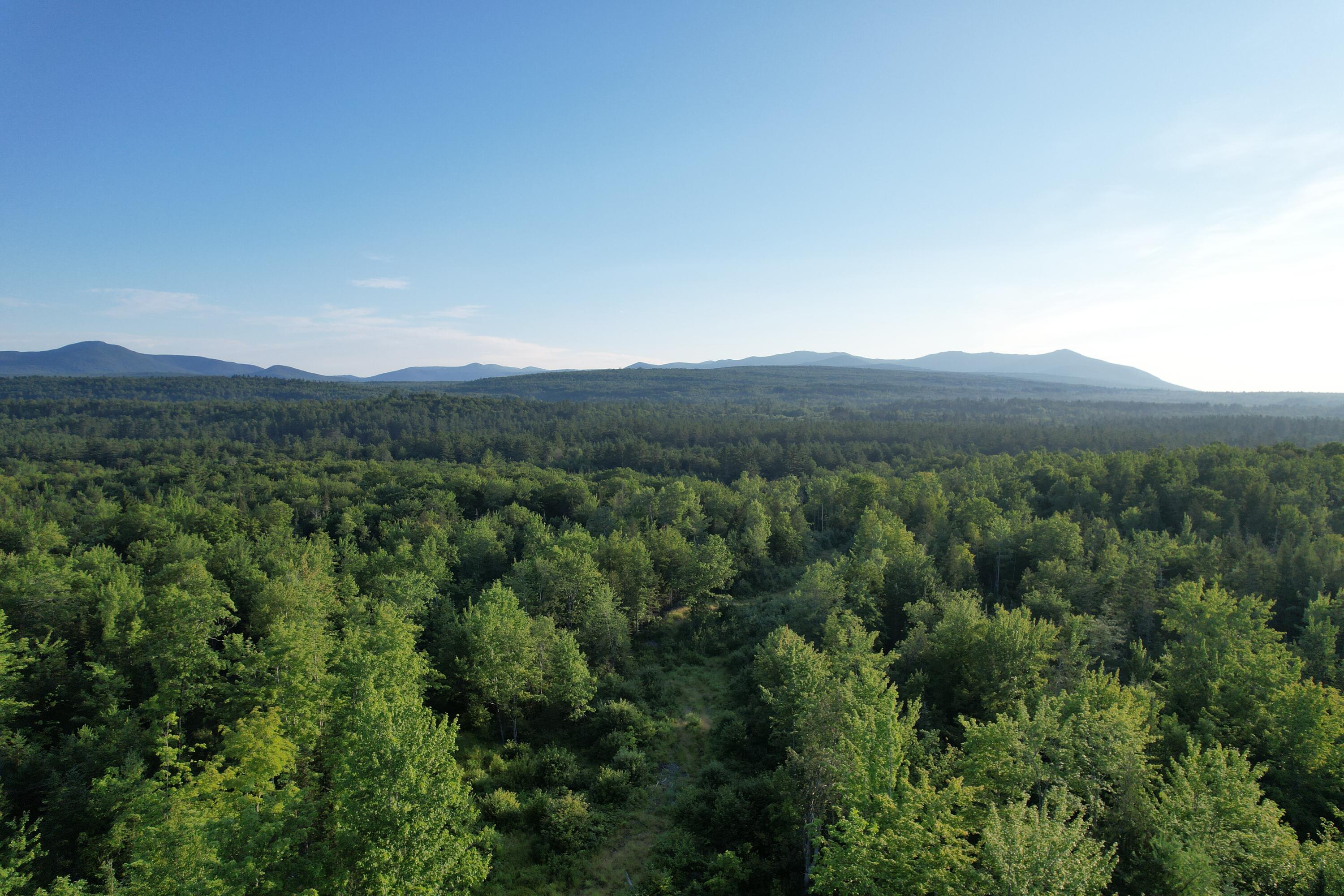 Lot #4 Woods Road Phillips, ME 04966 - Photo 13 of 27
