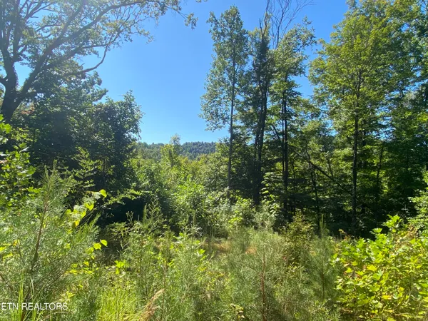 $270,000 | Double Top Road, Jamestown, TN 38556