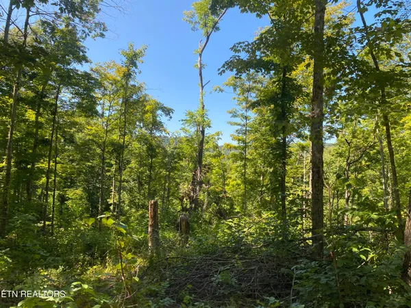 $270,000 | Double Top Road, Jamestown, TN 38556
