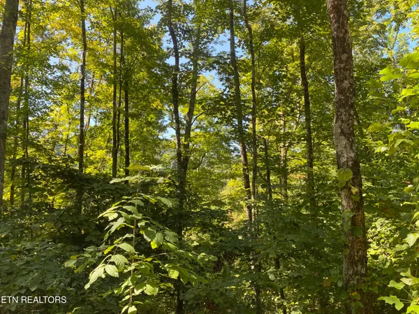 $270,000 | Double Top Road, Jamestown, TN 38556