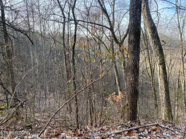 $270,000 | Double Top Road, Jamestown, TN 38556