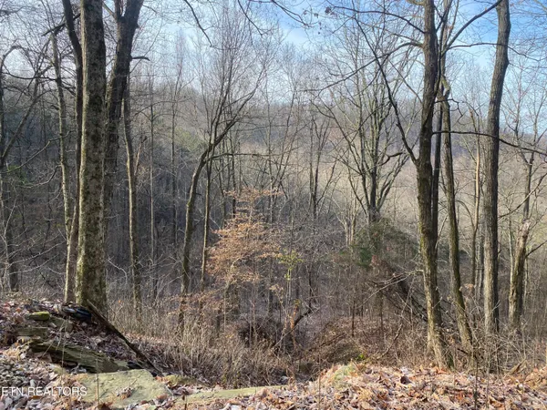 $270,000 | Double Top Road, Jamestown, TN 38556