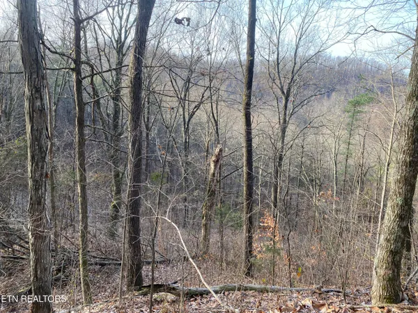 $270,000 | Double Top Road, Jamestown, TN 38556