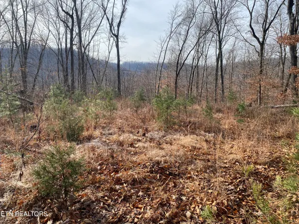 $270,000 | Double Top Road, Jamestown, TN 38556