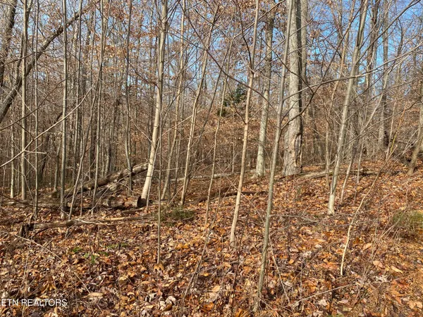 $270,000 | Double Top Road, Jamestown, TN 38556