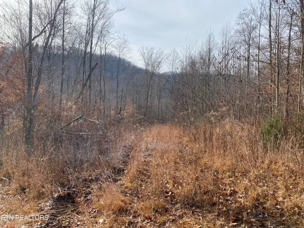 $270,000 | Double Top Road, Jamestown, TN 38556