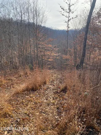 $270,000 | Double Top Road, Jamestown, TN 38556