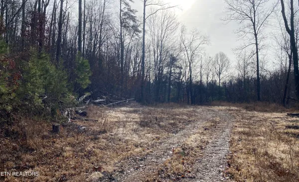 $270,000 | Double Top Road, Jamestown, TN 38556
