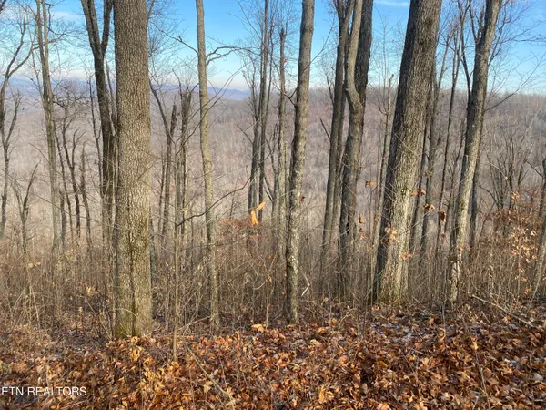 $270,000 | Double Top Road, Jamestown, TN 38556