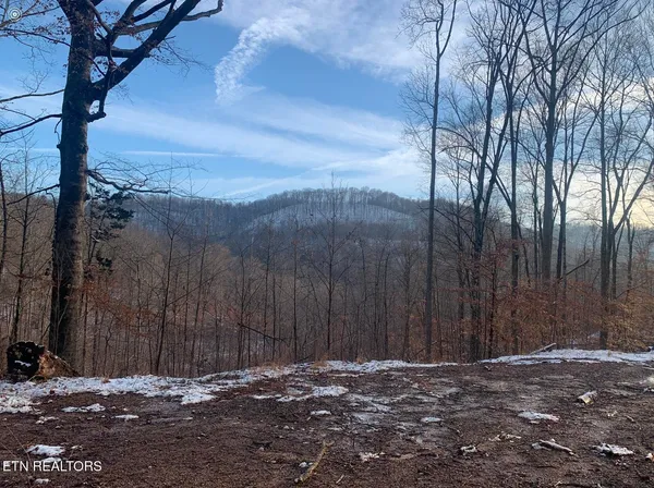 $270,000 | Double Top Road, Jamestown, TN 38556