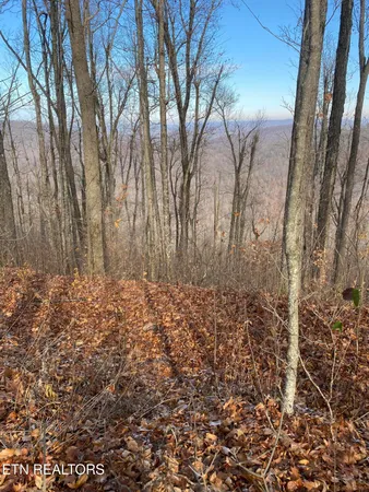 $270,000 | Double Top Road, Jamestown, TN 38556