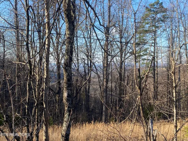 $270,000 | Double Top Road, Jamestown, TN 38556