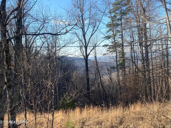 $270,000 | Double Top Road, Jamestown, TN 38556