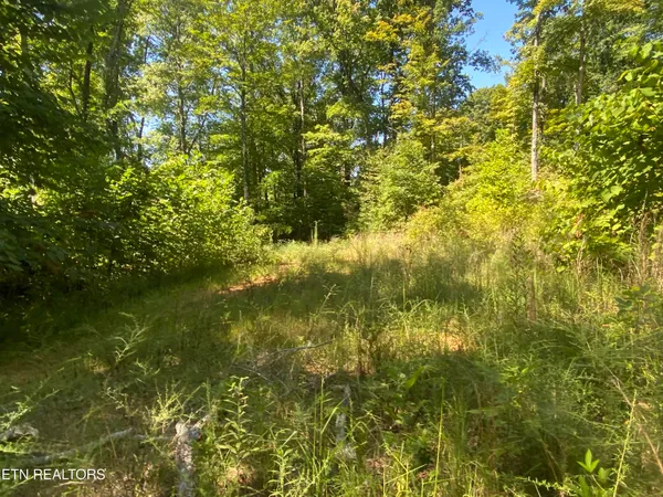 $270,000 | Double Top Road, Jamestown, TN 38556