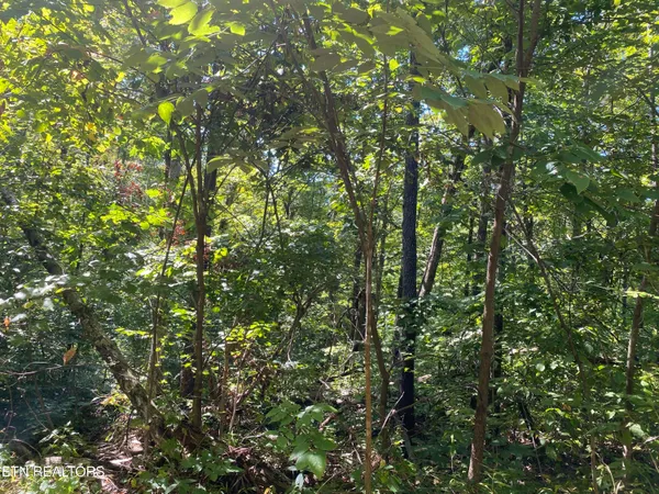 $270,000 | Double Top Road, Jamestown, TN 38556