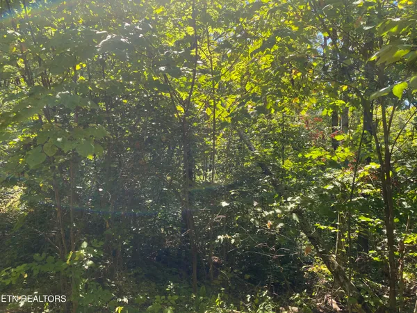 $270,000 | Double Top Road, Jamestown, TN 38556