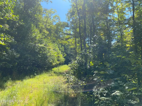 $270,000 | Double Top Road, Jamestown, TN 38556