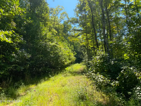 $270,000 | Double Top Road, Jamestown, TN 38556