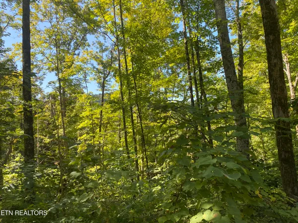 $270,000 | Double Top Road, Jamestown, TN 38556