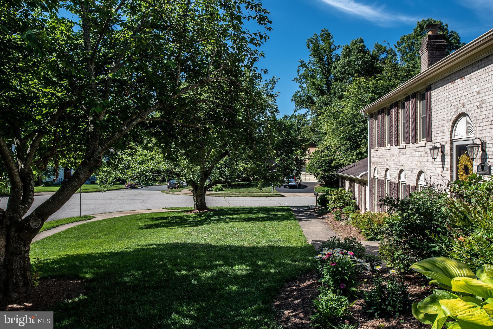 8202 Rushing Creek Drive Springfield, VA 22153 - Photo 4 of 44 Cul de sac on garage side