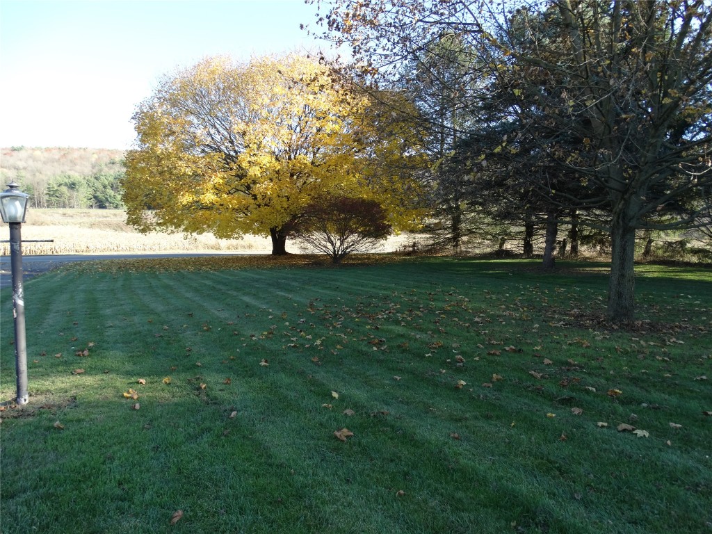 4935 West River Road Nichols, NY 13812 - Photo 27 of 27 Gallery Image 27