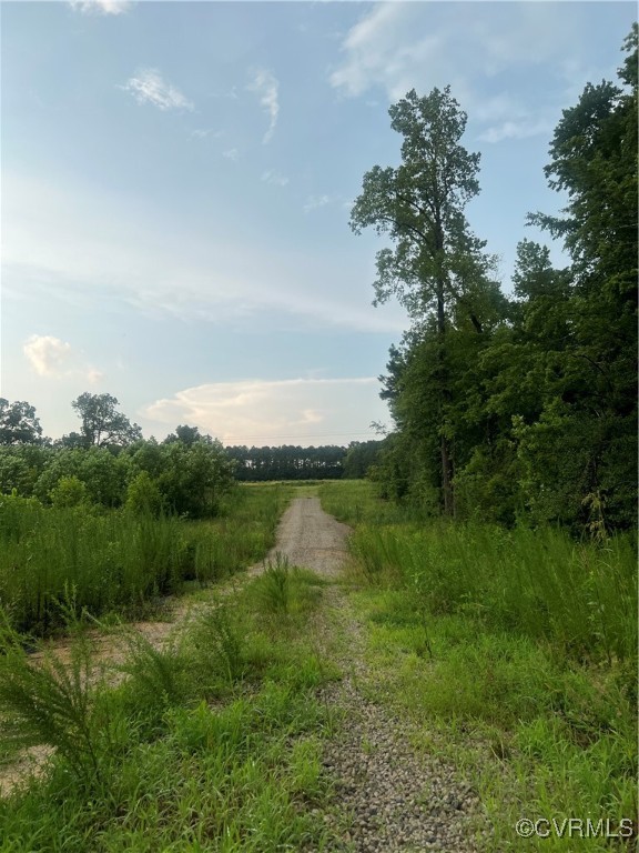 26544 Oakdale Road Waverly, VA 23890 - Photo 1 of 12 Driveway