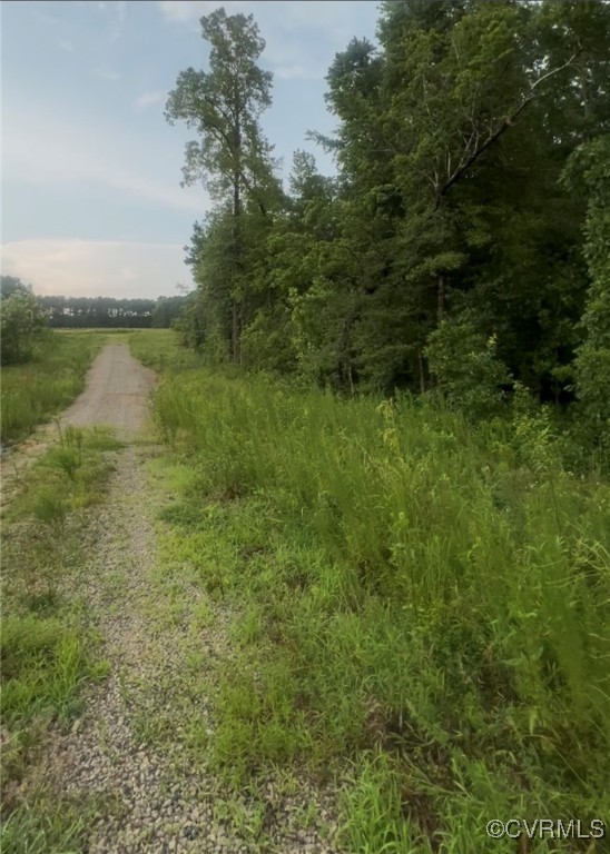 26544 Oakdale Road Waverly, VA 23890 - Photo 11 of 12 Driveway