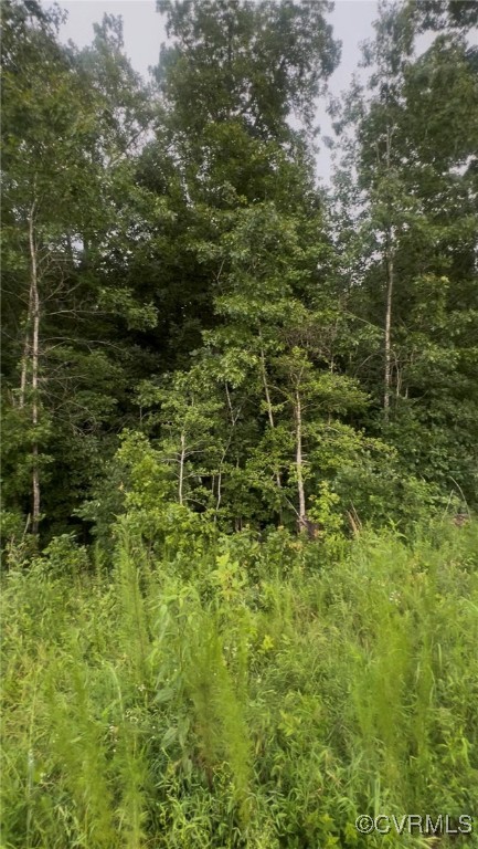 26544 Oakdale Road Waverly, VA 23890 - Photo 12 of 12 Land