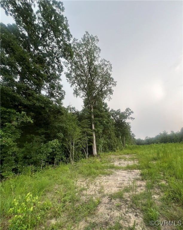26544 Oakdale Road Waverly, VA 23890 - Photo 4 of 12 Left Side View