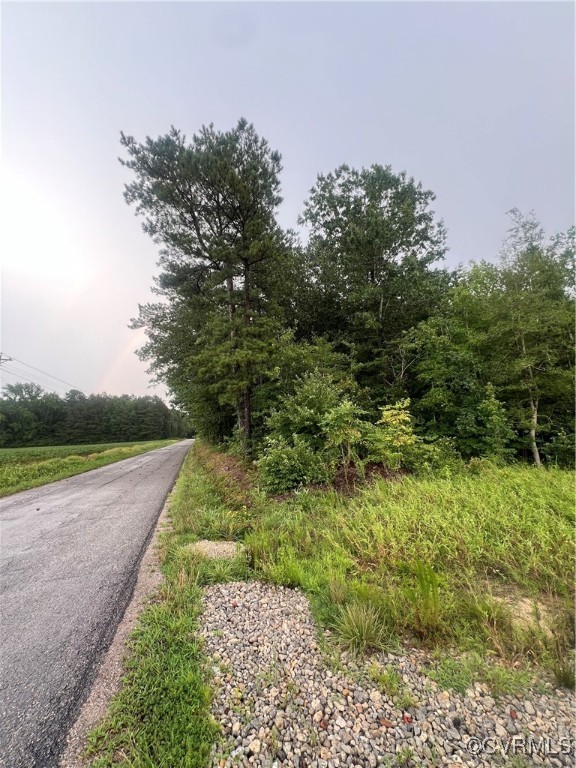 26544 Oakdale Road Waverly, VA 23890 - Photo 6 of 12 From Road