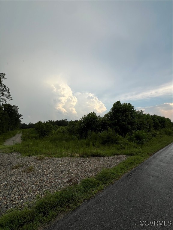 26544 Oakdale Road Waverly, VA 23890 - Photo 8 of 12 From Road