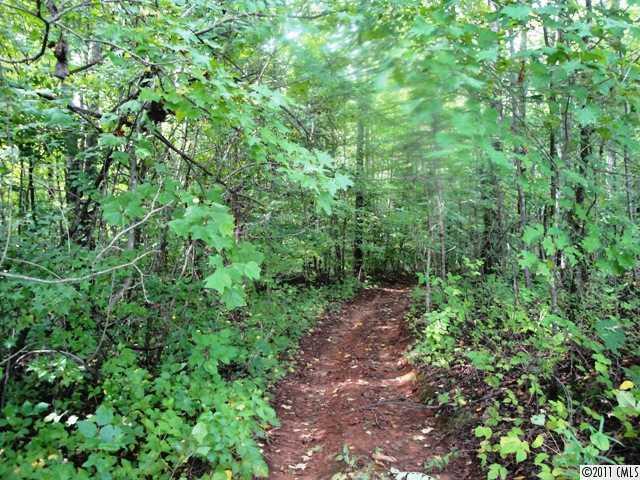 0 Williamsburg Road Harmony, NC 28634 - Photo 5 of 12 Gallery Image 5