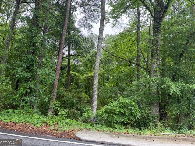 0 Johnson Road Palmetto, GA 30268 - Photo 2 of 12