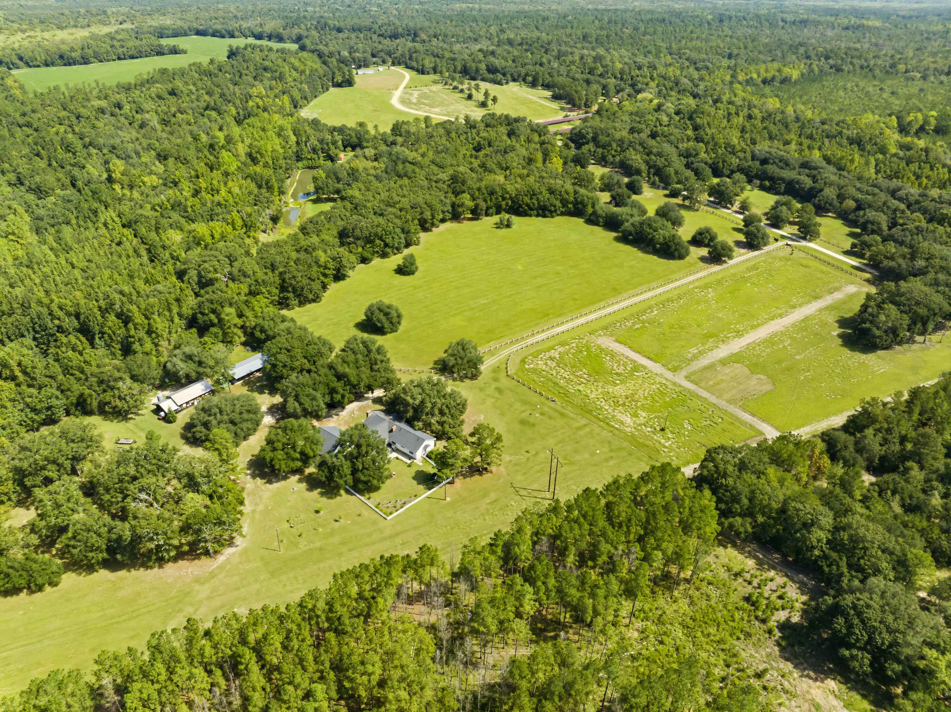 1569 Dave Plowden Pond Road Manning, SC 29102 - Photo 48 of 92 Gallery Image 48
