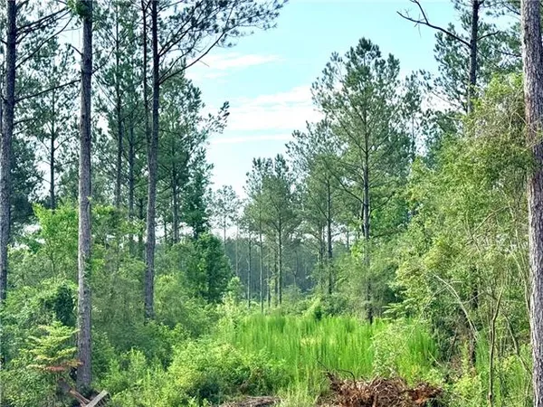 $49,900 | Lot2-b 3.08ac Lot2-b 3.08ac Lee Road, Franklinton, LA 70438